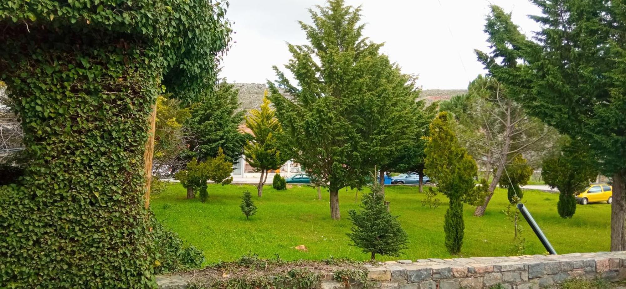 Lassithi Plateau Traditional Suite Agios Georgios  Exteriör bild